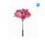 Natural Ostrich Feather Cat Teaser Wand – Pink