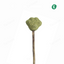 Catnip Lollipop Stick Toy – Paw Print
