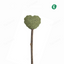 Catnip Lollipop Stick Toy – Love