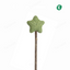 Catnip Lollipop Stick Toy – Star