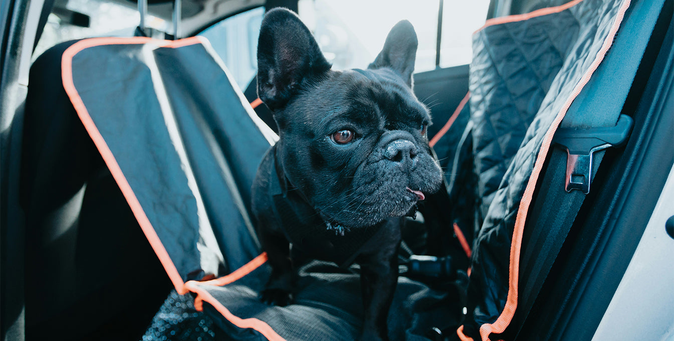 French Bulldog sitting safely in a padded dog car seat with harness, a secure and comfortable dog car seat for safe travel with pets.