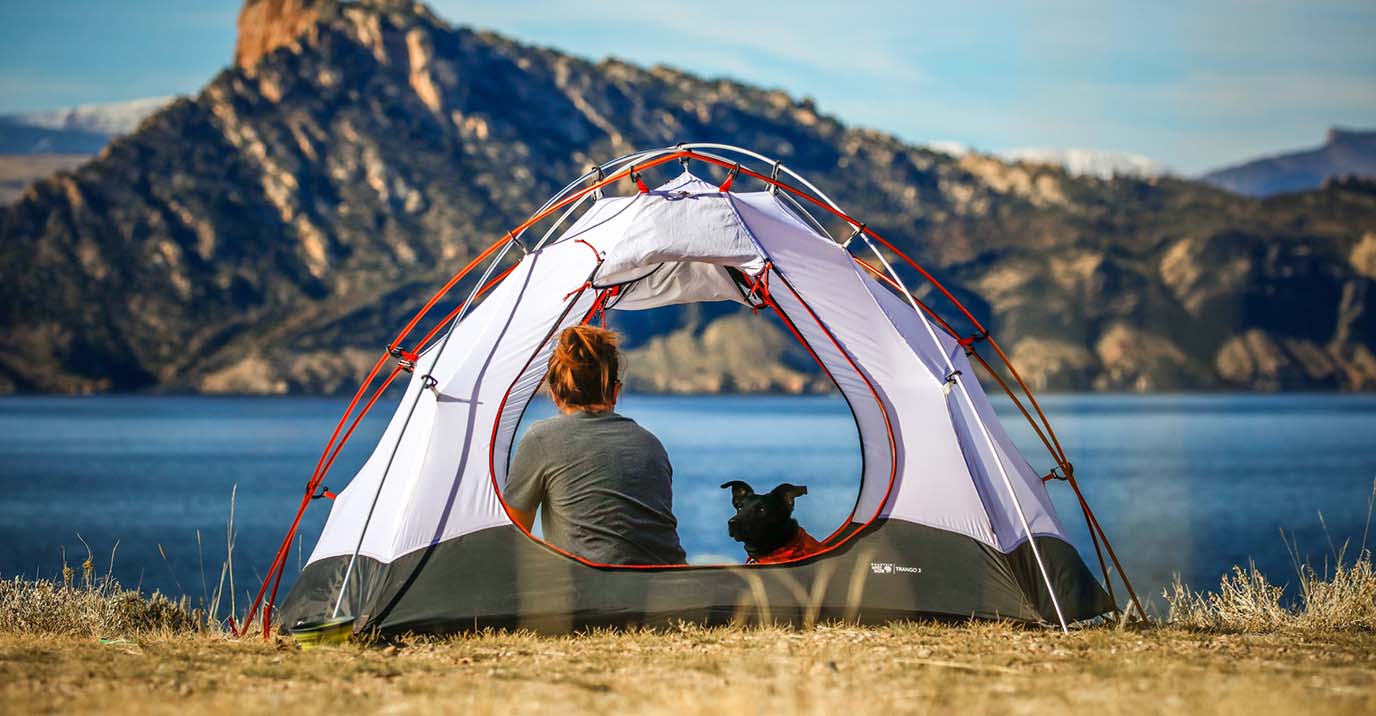 Camping With a Dog: Gear Checklist &amp; Safety Tips