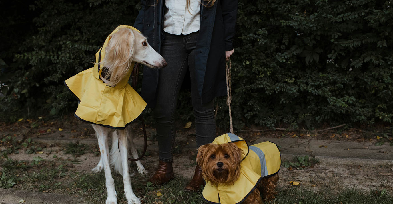 Best Waterproof Dog Coats for UK & Nordic Weather