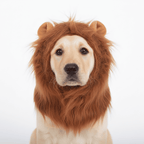 Lion Mane Dog Costume – Realistic Pet Wig for Dogs & Cats