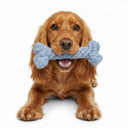 Bone —Handmade  Cotton Rope Eco Chew Dog Toys
