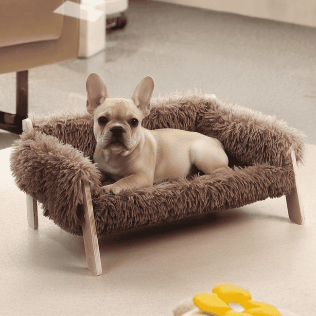 Luxury Wooden Frame Pet Sofa Bed, Suitable for Cats and Dogs（Brown） Main Image