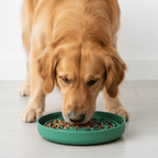 Non-Slip Maze Silicone Dog Slow Feeder Bowl