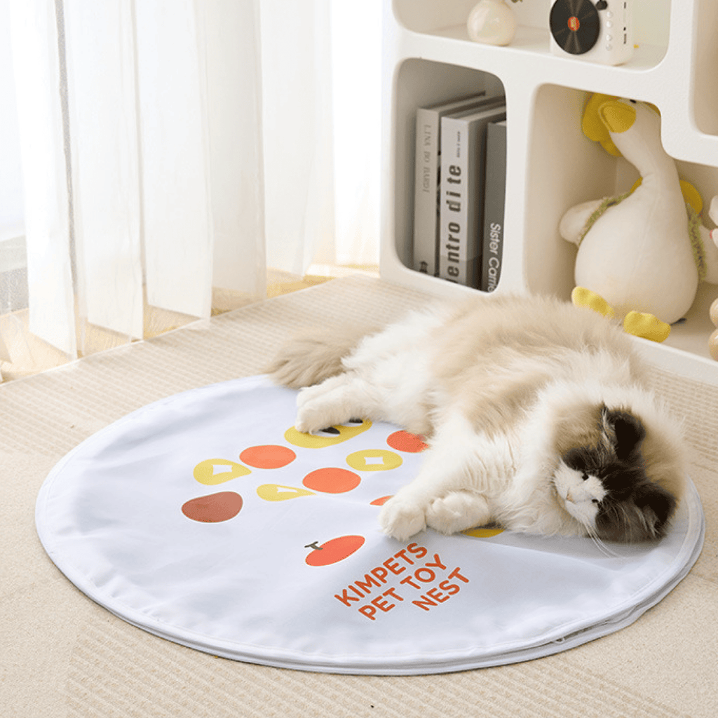 Interactive Self-Play Enclosed Electric Cat Hunting Ball Toy