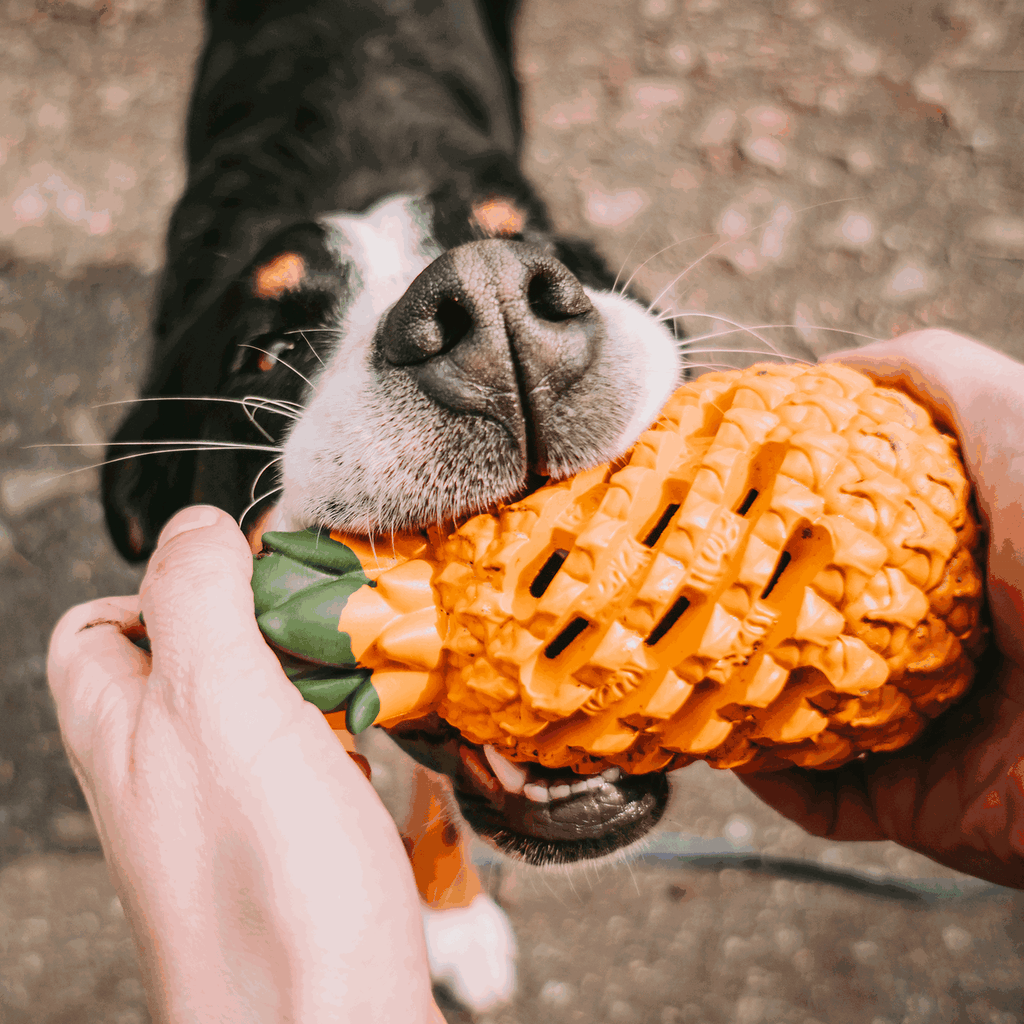 Pineapple Durable Rubber Dog Chew Toy & Treat Dispenser