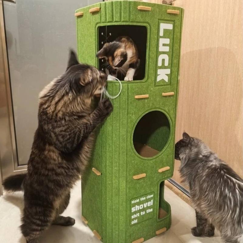 Space-Saving 3-Tier Cat Condo Tower in Moss Green