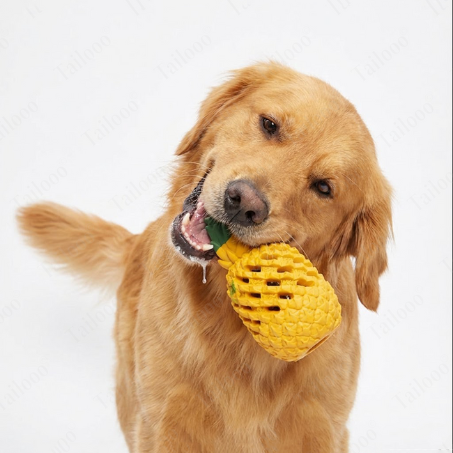 Pineapple Rubber Dog Toy Ball with Squeaker & Treat Dispenser Main Image