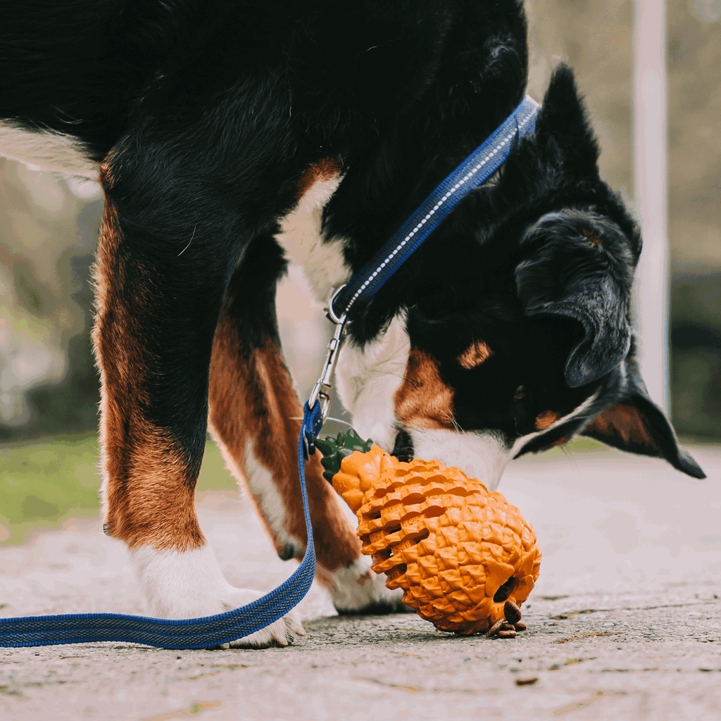Pineapple Durable Rubber Dog Chew Toy & Treat Dispenser