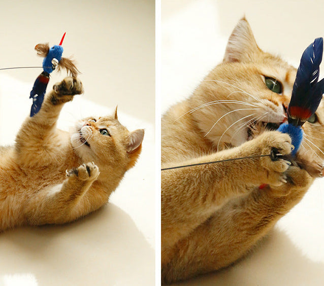 5f574e34-0289-4d4b-90a7-02bb2a59703c