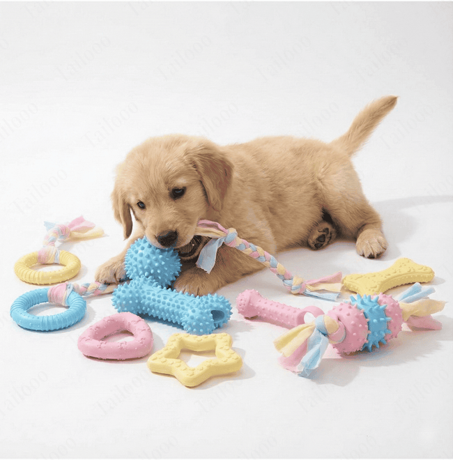 TPR Macaron Knot Dog Chew Toy – Star Main Image