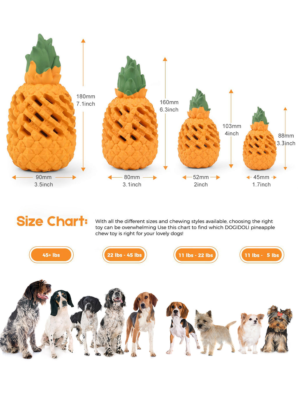 983a5c18-75b2-44c3-a384-4eed1ace7616