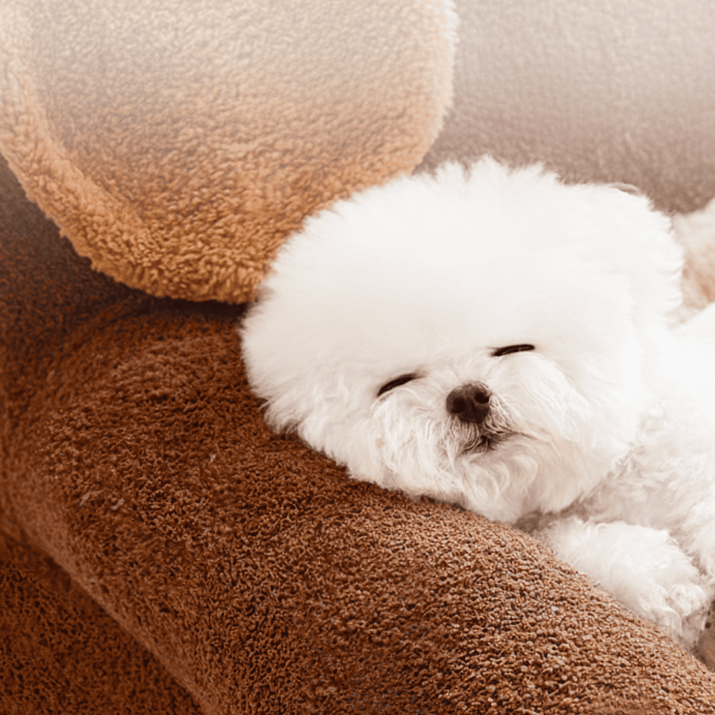 Cozy Plush Nest Dachshund-Shaped Washable dog Bed