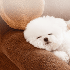 Cozy Plush Nest Dachshund-Shaped Washable dog Bed