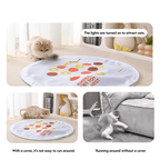 Interactive Self-Play Enclosed Electric Cat Hunting Ball Toy