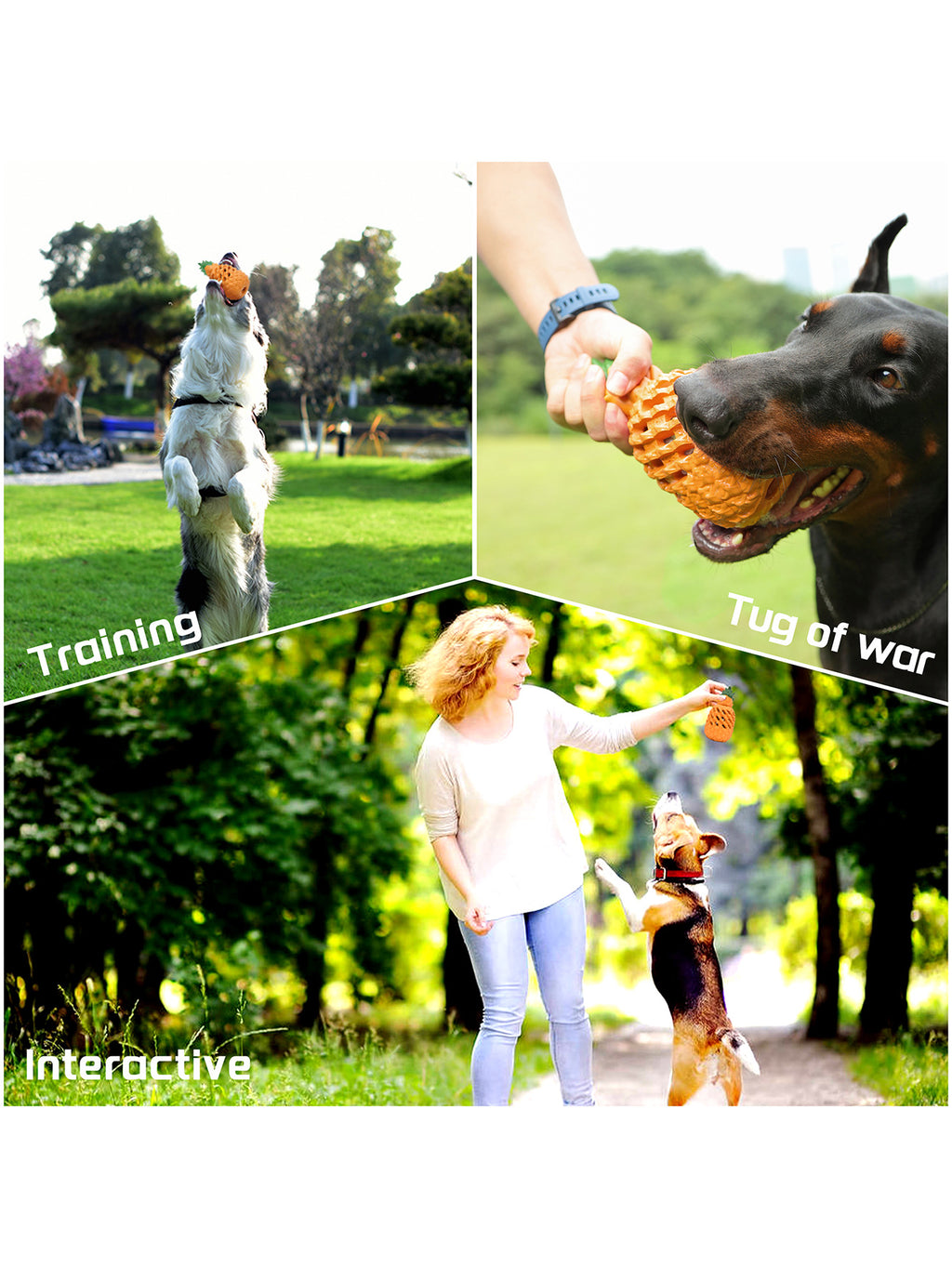 bb5f092f-08e2-4d62-b3ac-be4c6f4b3ade