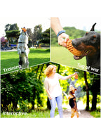 bb5f092f-08e2-4d62-b3ac-be4c6f4b3ade