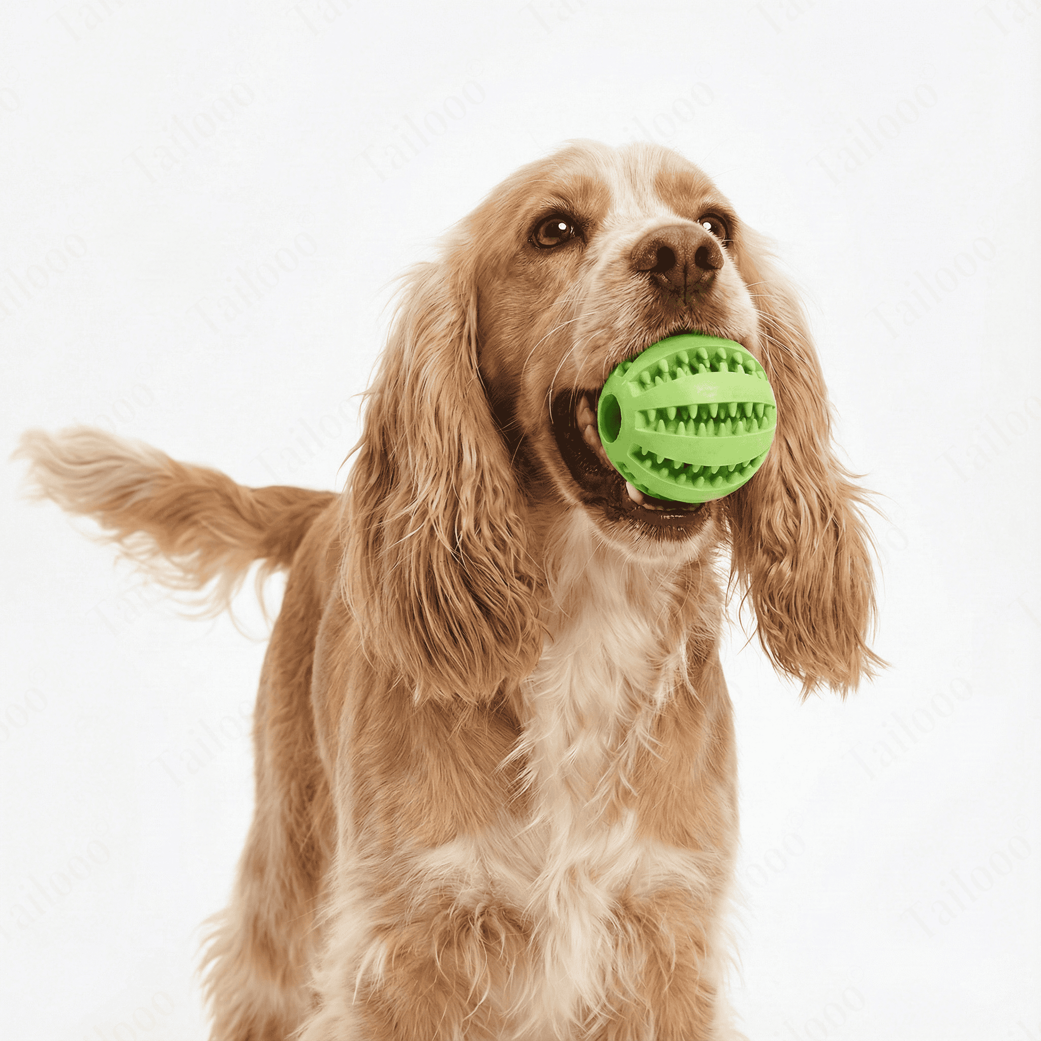 c34c2599-ee0e-4823-ac74-d2621b91861f