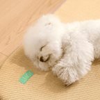 Cooling Rattan Pet Mat for All Seasons