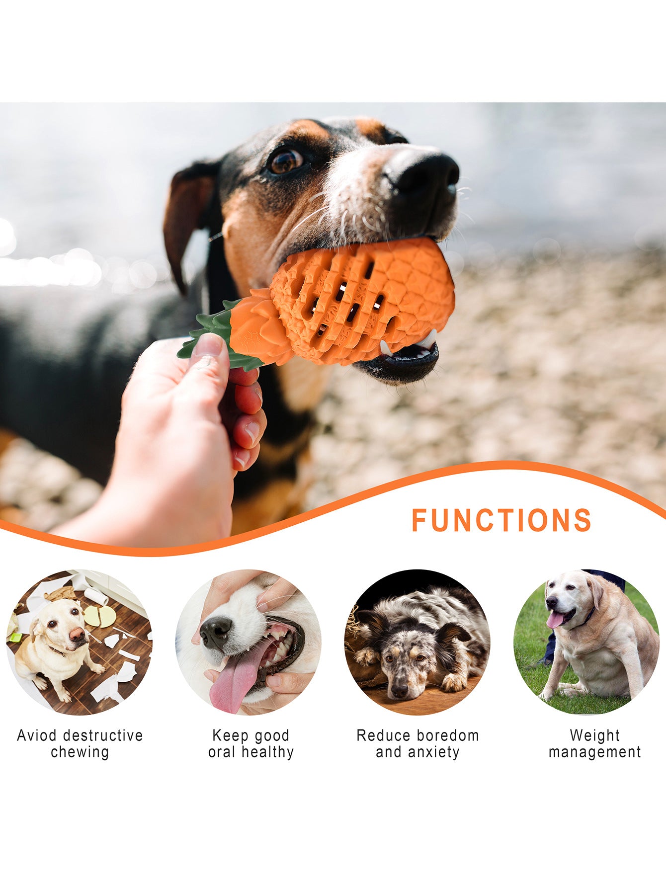 8ec5ef3c-8f93-4fa3-b3bd-df353e4c1dca