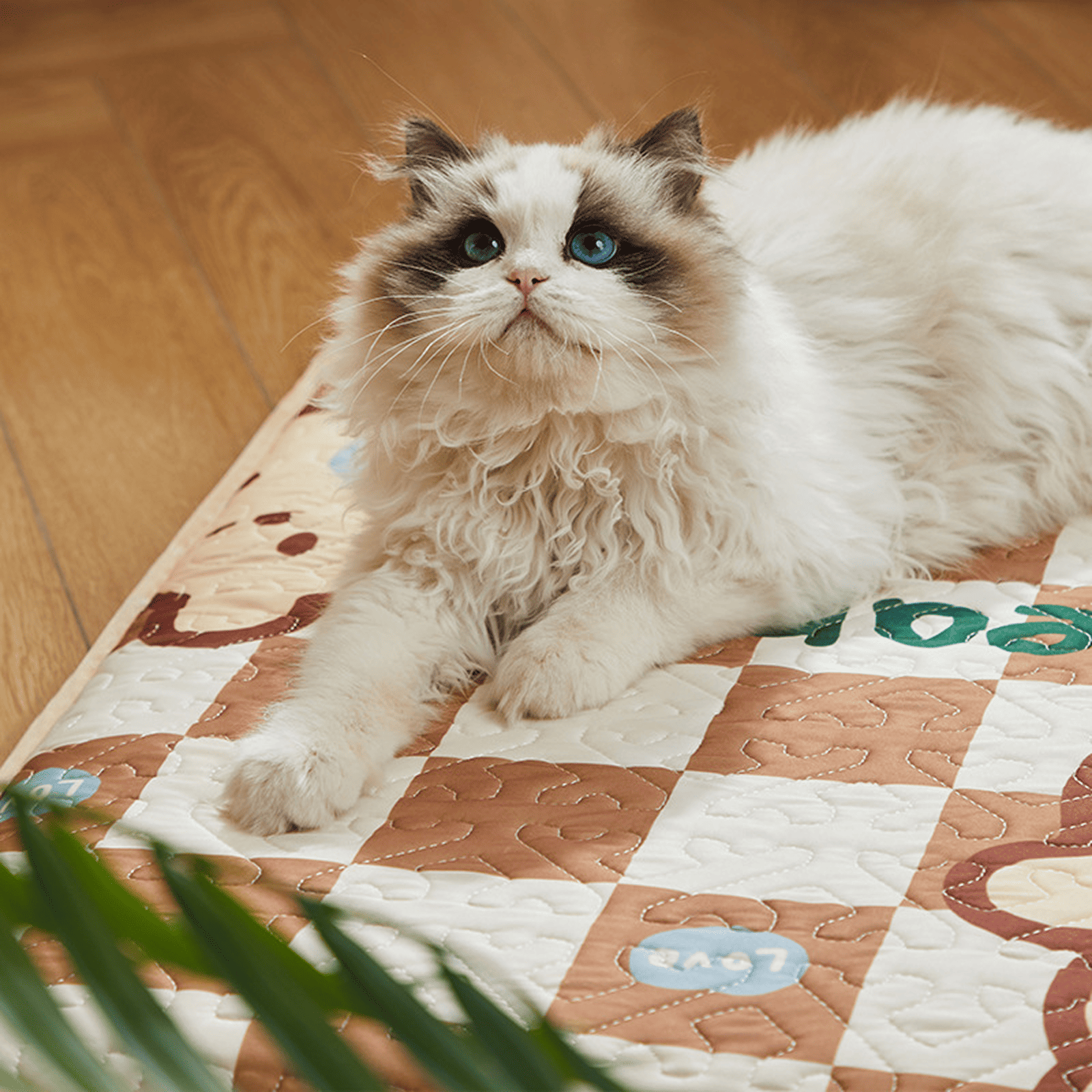 All-Season Cooling Pet Mat with Non-Slip Bottom