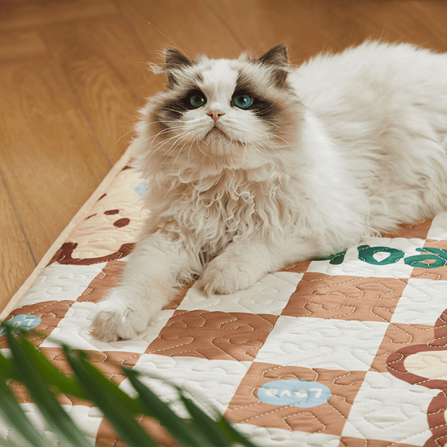 All-Season Cooling Pet Mat with Non-Slip Bottom Main Image