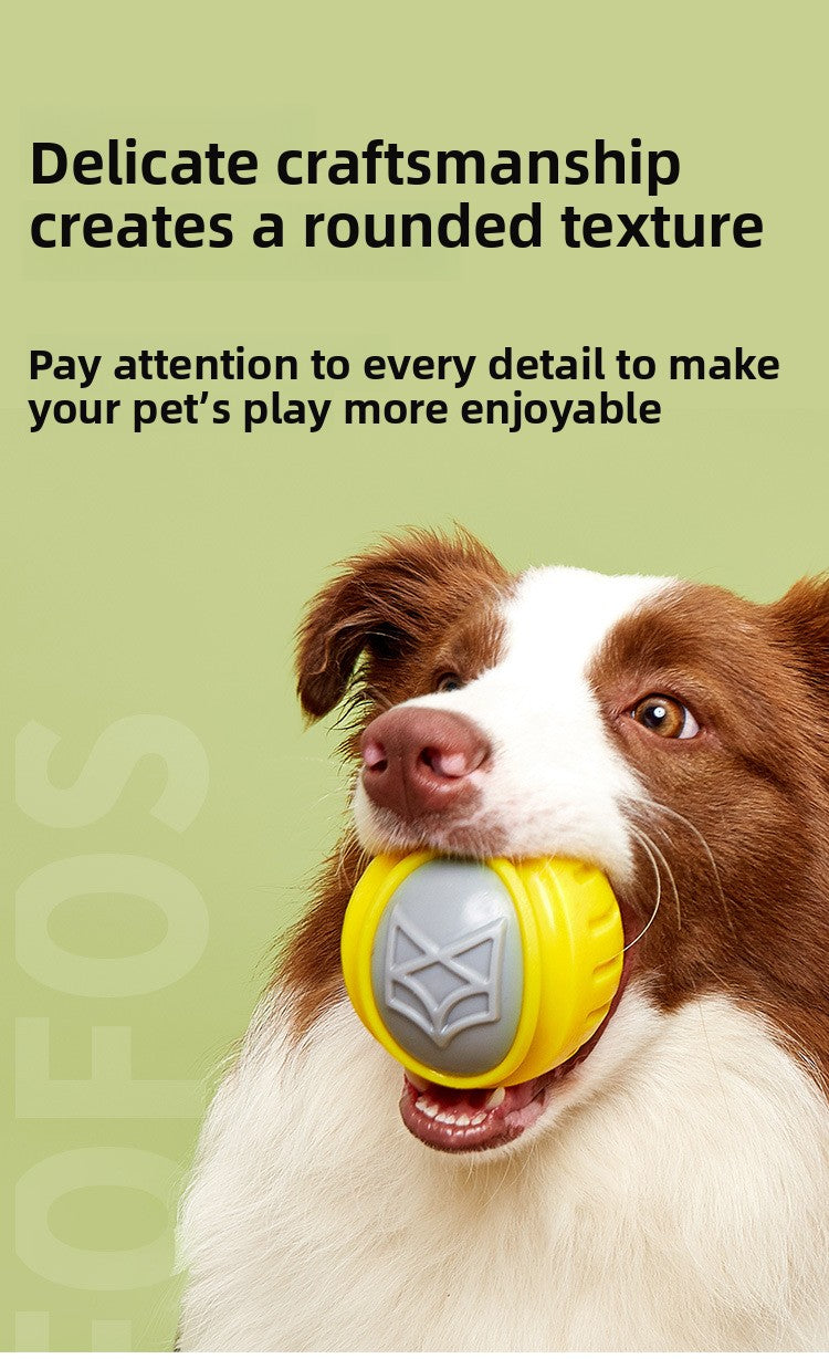 916a2ba7-b125-4b29-8987-b1563e6f01fa