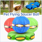 a402fc40-26b5-4ece-8d04-edb80cd83194