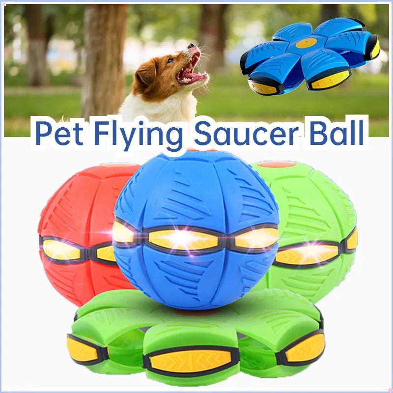 a402fc40-26b5-4ece-8d04-edb80cd83194