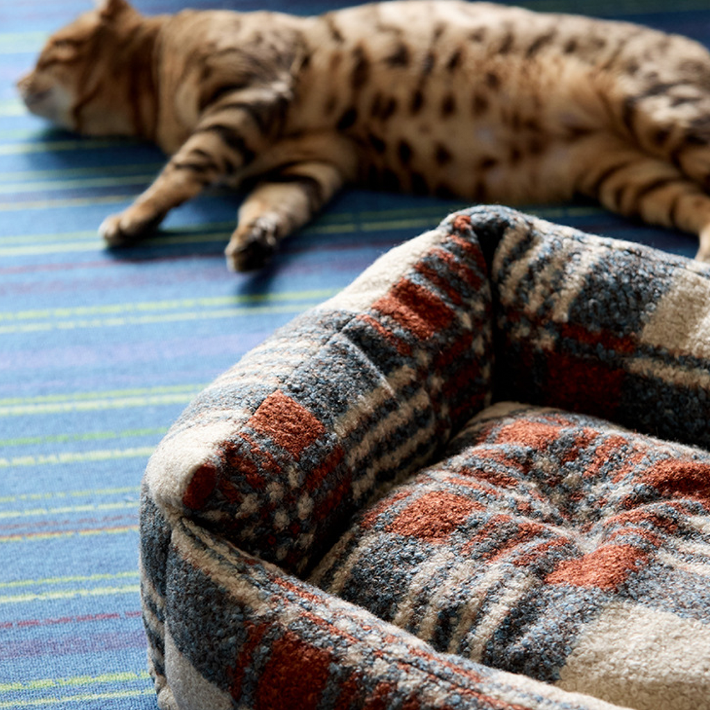 b27937a0-dbf3-4b1b-8395-1cce48d6cd2f