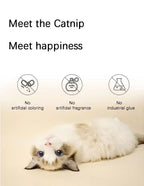 627bb4cc-aff2-4b6d-b3d4-6822a7917818