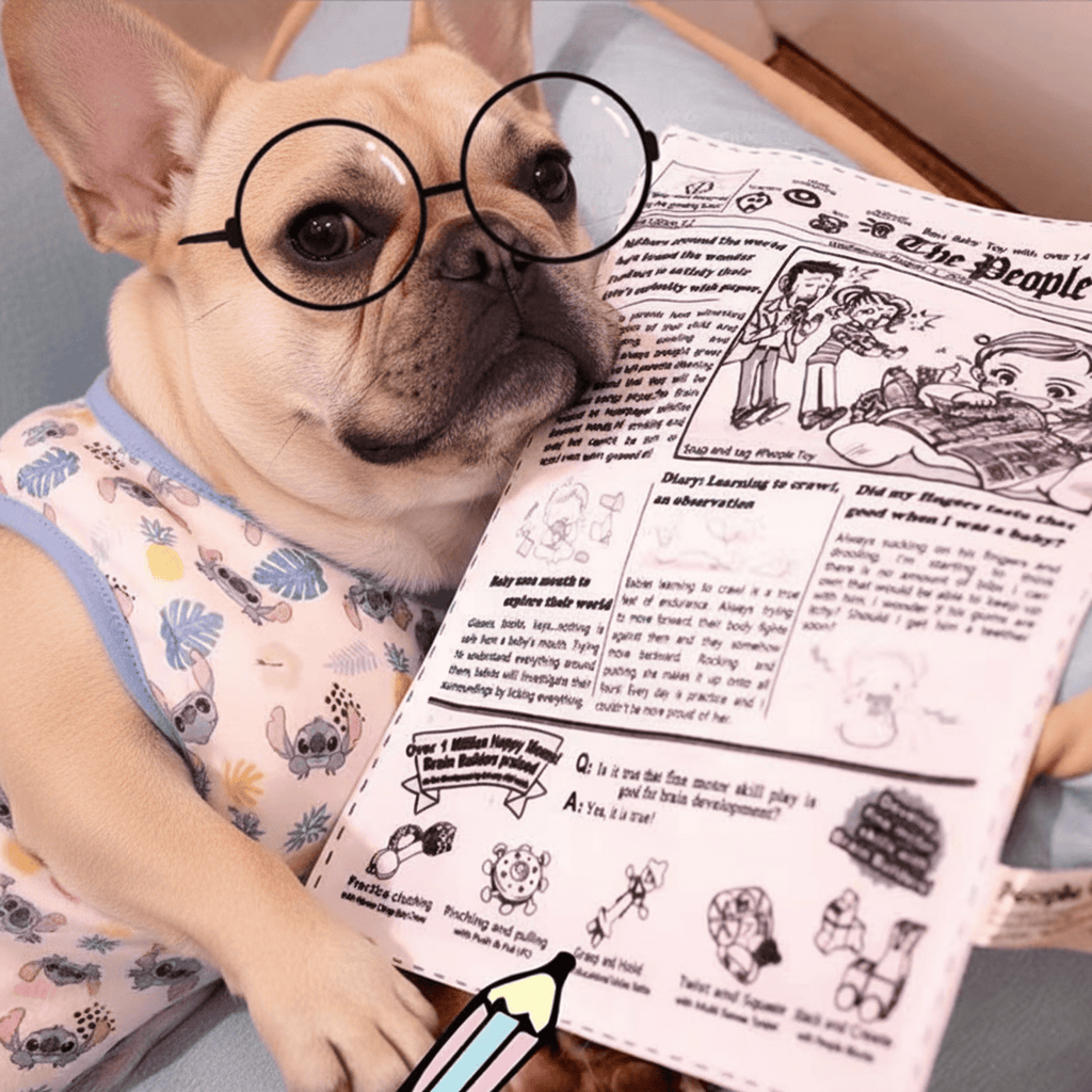 Crinkly paper dog toys with Newspaper card designs