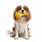 Duck — Handmade  Cotton Rope Eco Chew Dog Toys