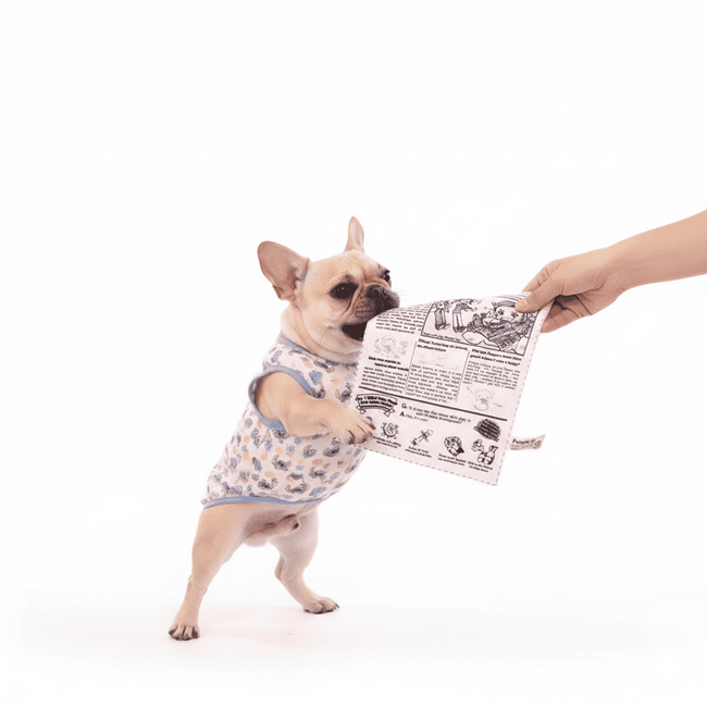 Crinkly paper dog toys with Newspaper card designs Main Image