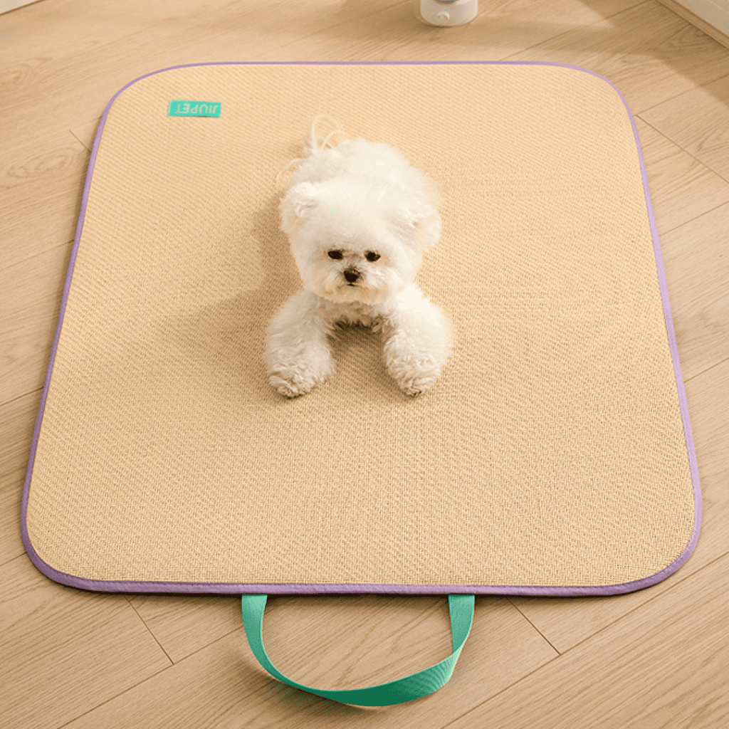 Cooling Rattan Pet Mat for All Seasons