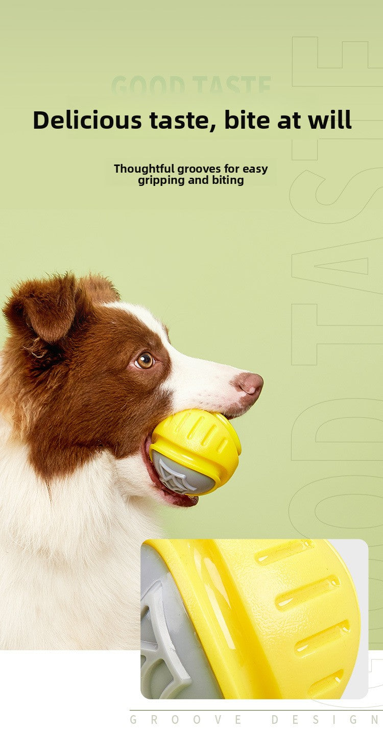 99d10d12-3aa2-4aed-b083-d6e7e4eb7533