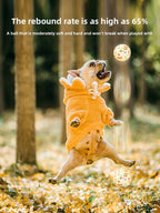 e5233cbb-4578-40a6-acf4-0bc216386206