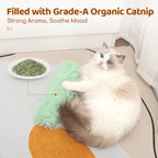 e5afe433-d483-456e-b307-8881af8f3526