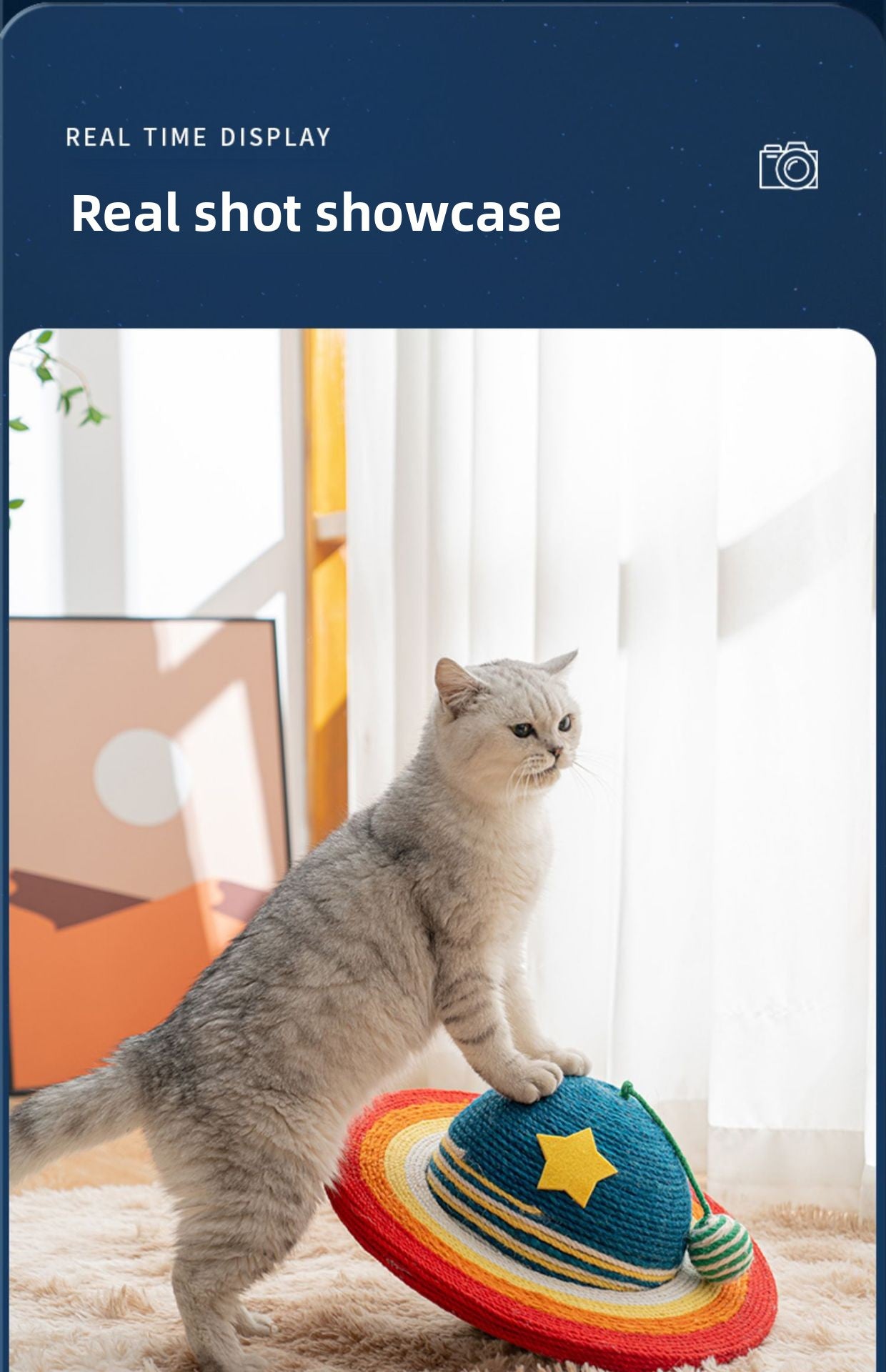 2f035505-837a-453b-93e6-44e3c81614f1