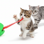 Interactive Funny Frog Tongue Mask for Pet