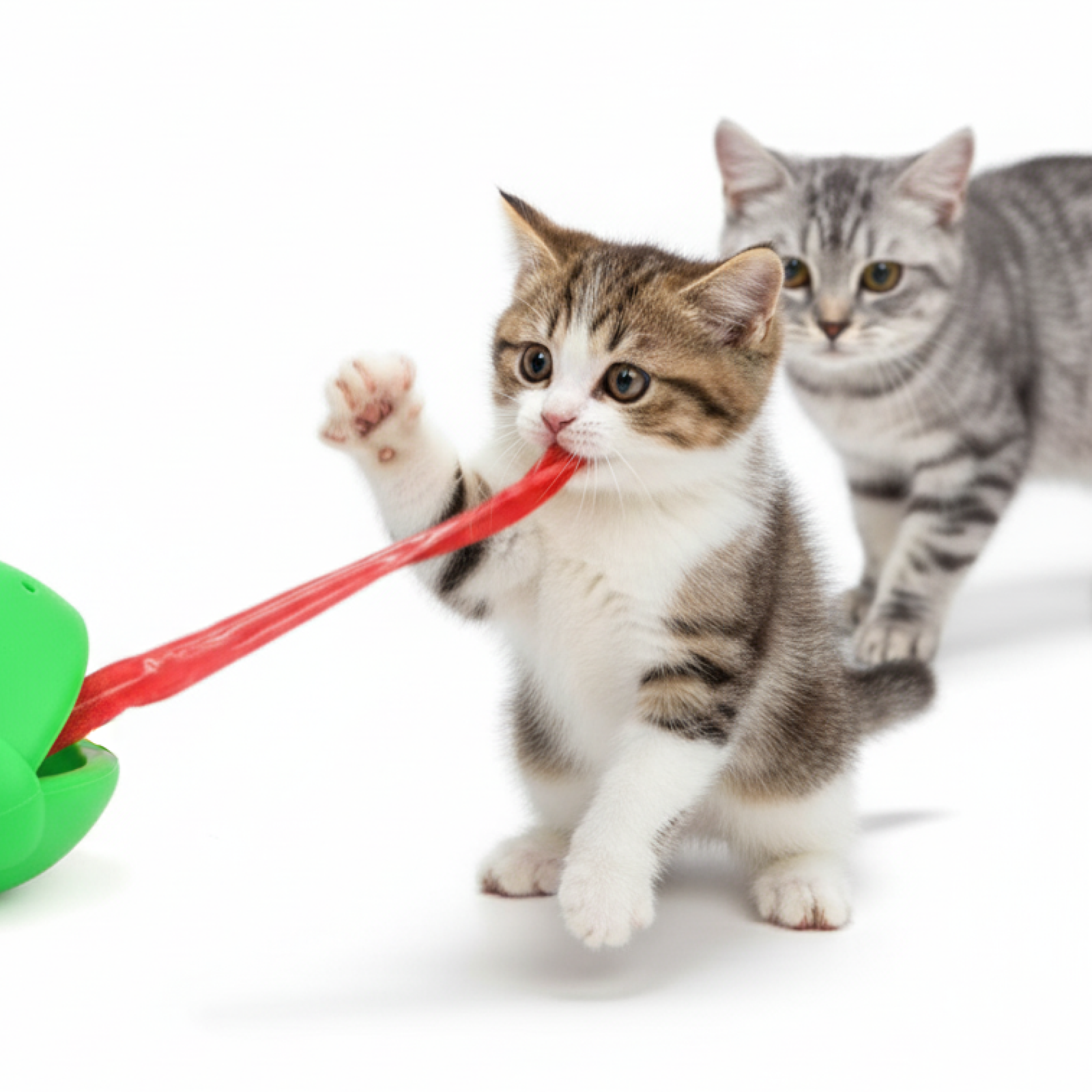 Interactive Funny Frog Tongue Mask for Pet