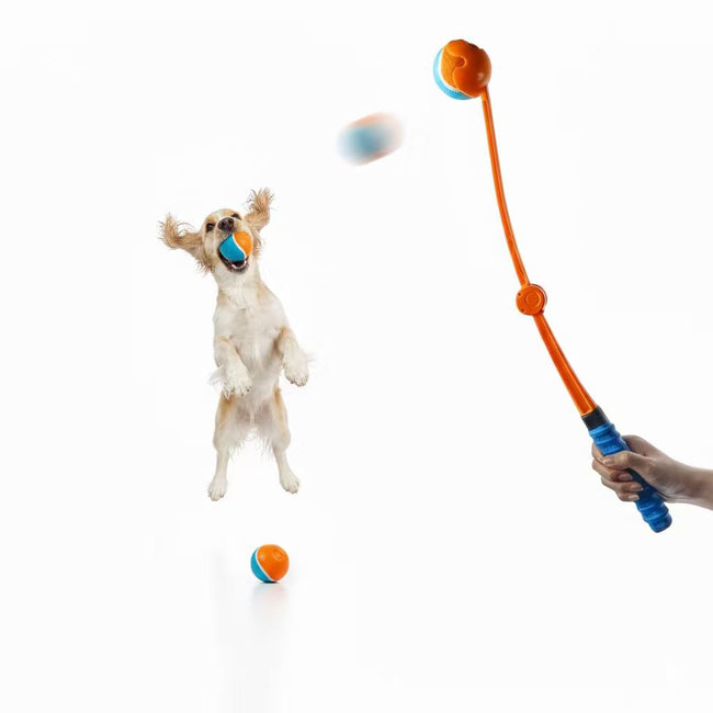 Foldable Dog Ball Thrower for Outdoor Training, Fetch Play & Exercise Main Image