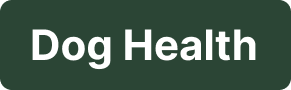 Dog Health blog category tag for canine nutrition, joint care, digestive health & dog wellness tips related to orthopedic beds, slow feed bowls and daily pet care.