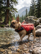 Dog Life Jacket designed for forest adventures, helping dogs stay buoyant and visible while swimming in lakes, rivers, and natural waterways. Perfect for hiking, camping, and outdoor water activities.