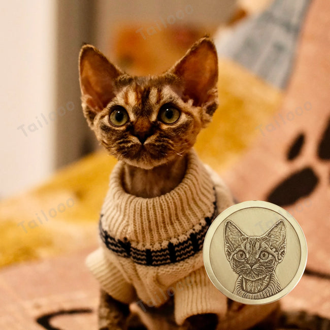 Custom Engraved Brass Pet ID Tag – Personalized Dog & Cat Collar Pendant Main Image