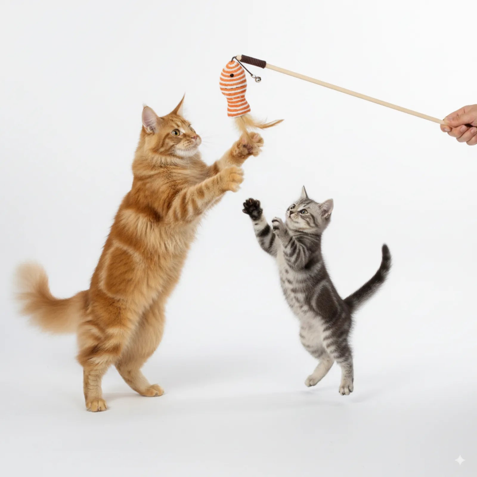 Interactive Feather & Bell Play Sticks Cat Teaser Wand Toys