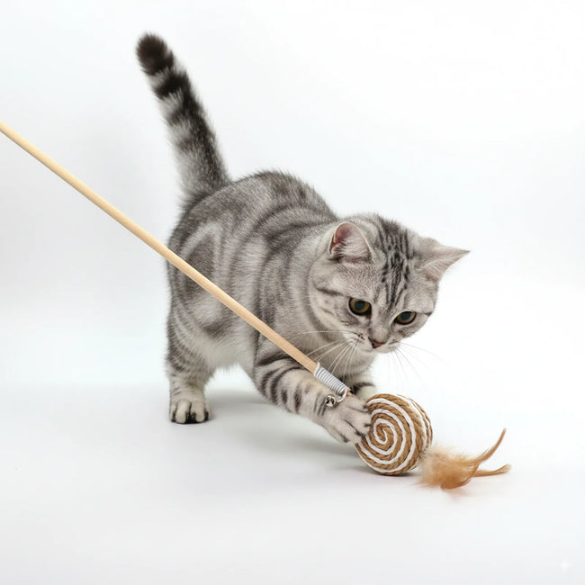 Interactive Feather & Bell Play Sticks Cat Teaser Wand Toys Main Image